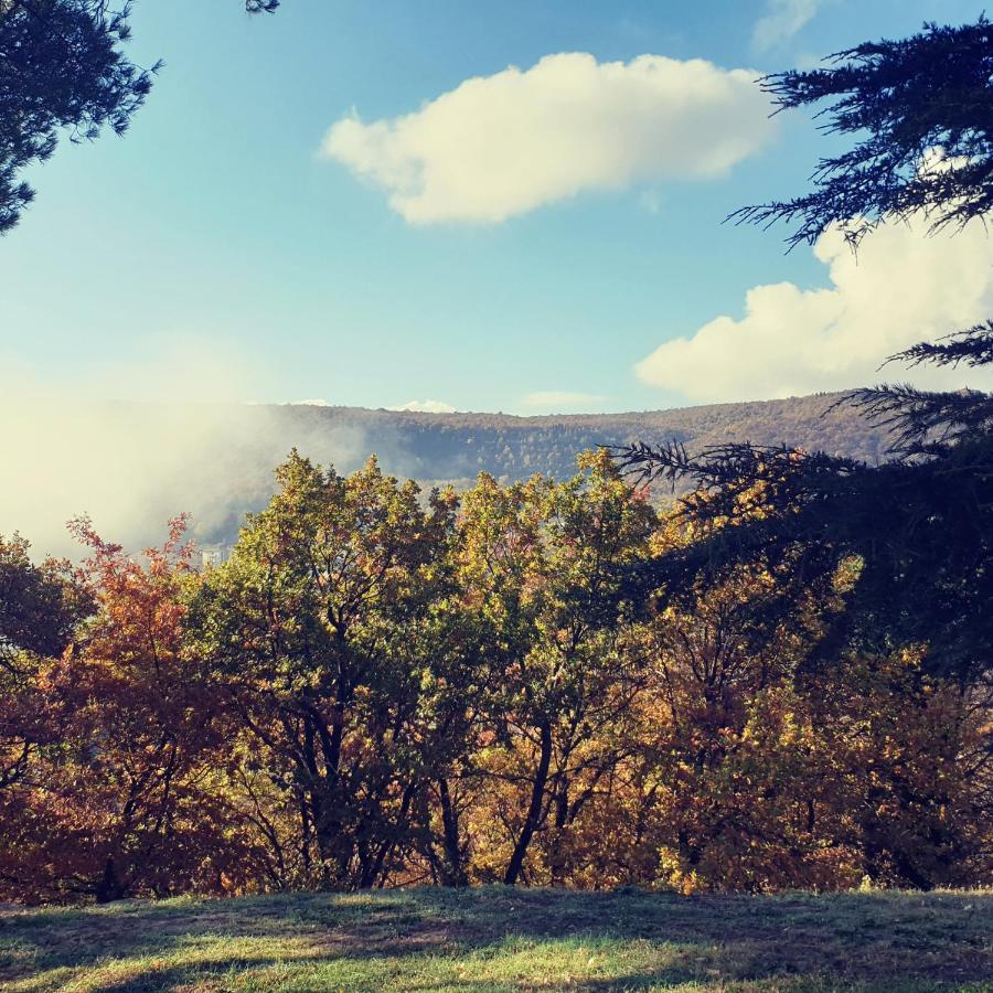 Villa Poggio Fagianino سانْتالبينو المظهر الخارجي الصورة